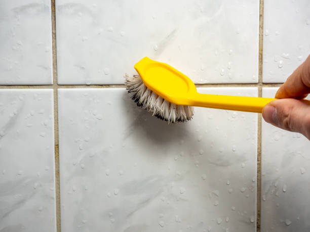 Best Residential Mold Remediation in Cisco, TX